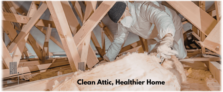 Attic Cleaning Rockwall TX