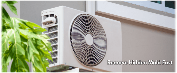 HVAC Mold Removal Rockwall TX